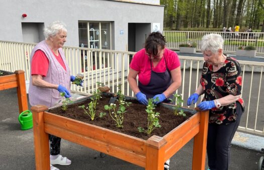 Jaro v plném proudu: Klienti SeniorCentra Terezín zvelebují zahrádku i lesopark
